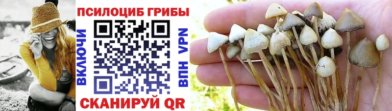 Галлюциногенные грибы Psilocybe  купить закладку  Городище 